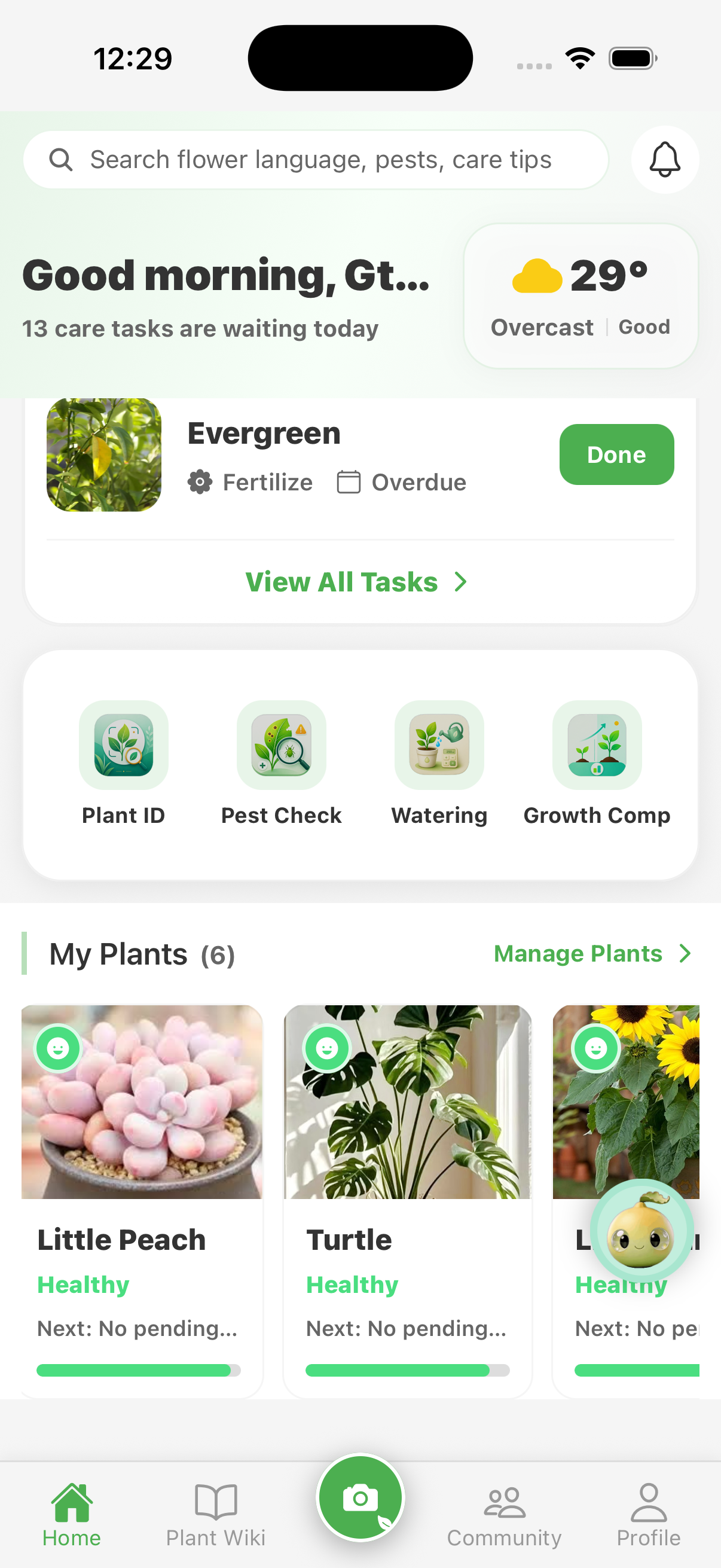 FoliagePal app home screen and care tasks