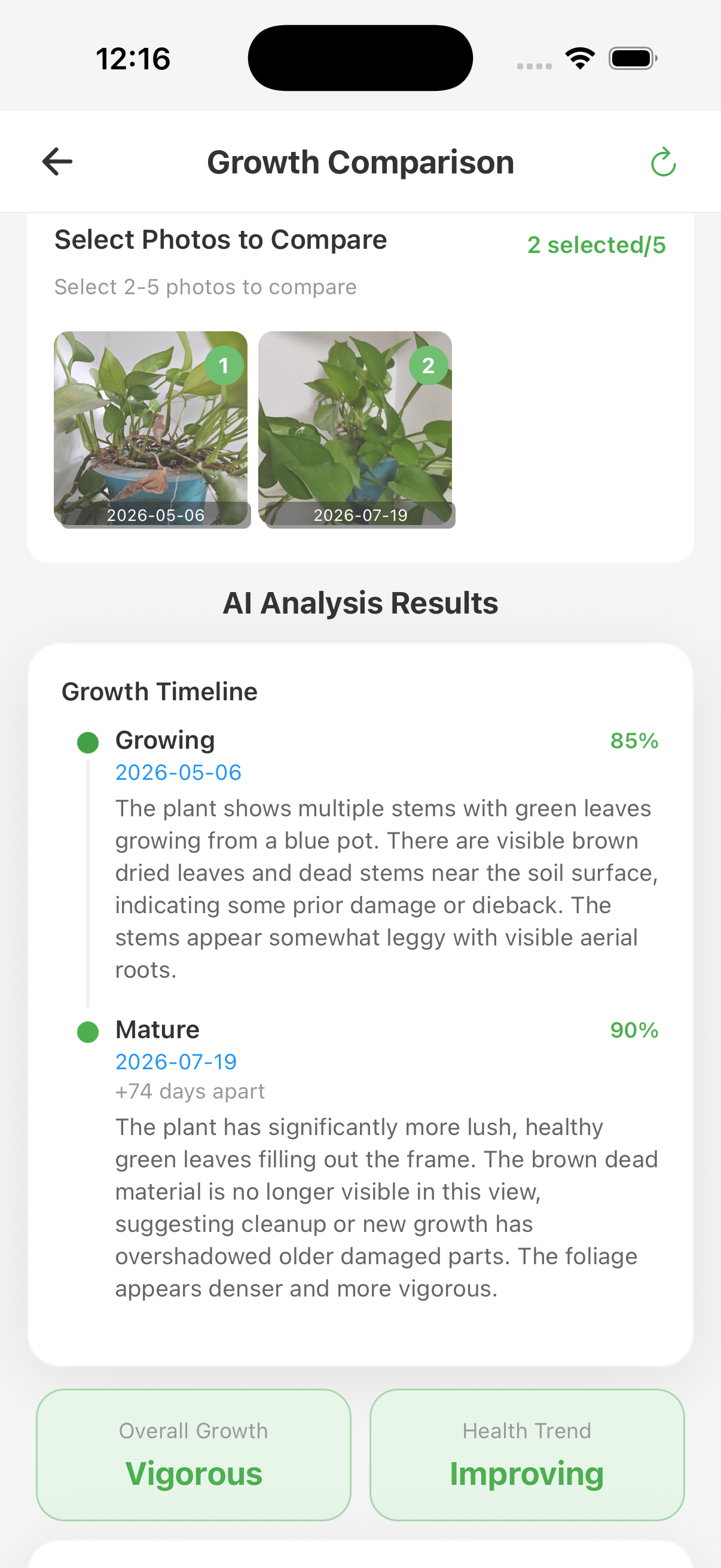 Plant growth comparison analysis