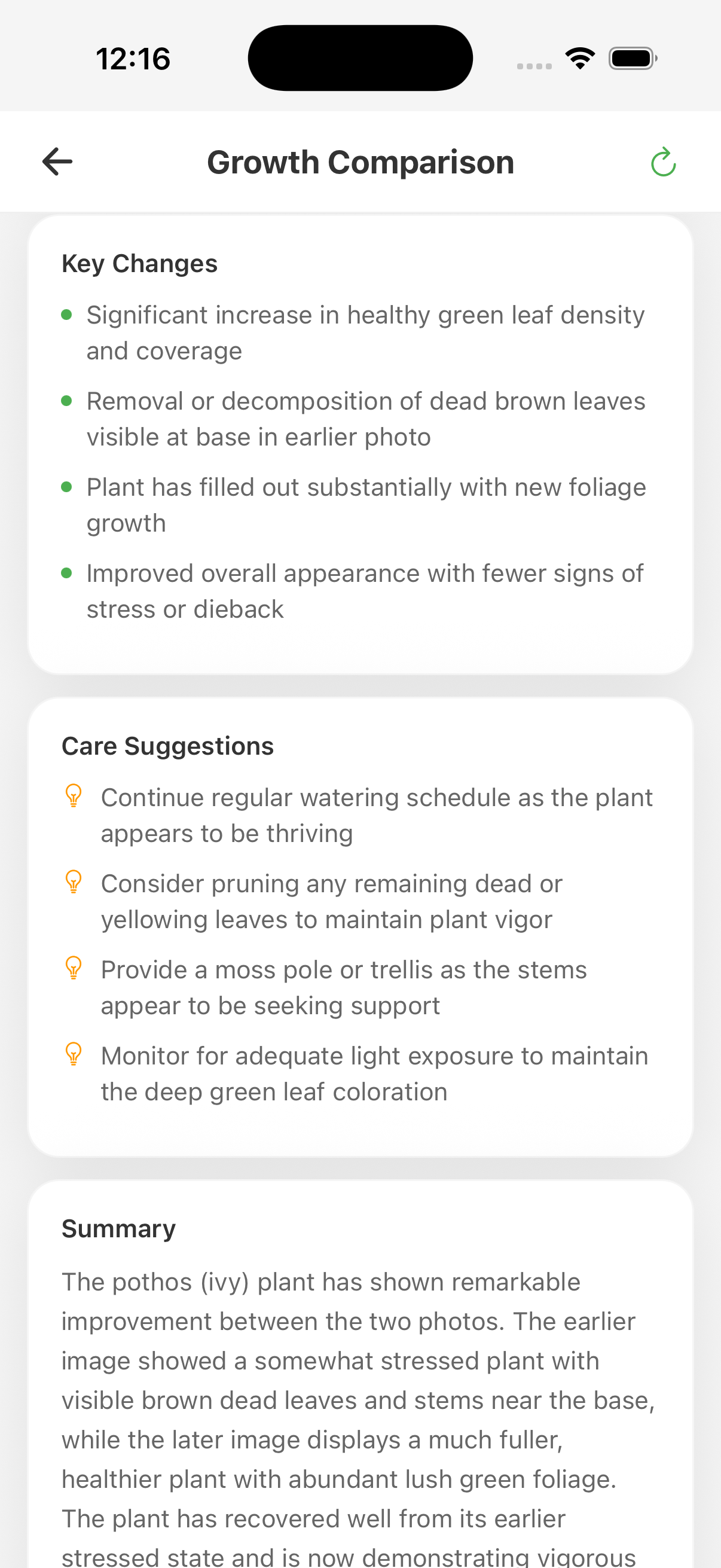 Detailed plant growth comparison results