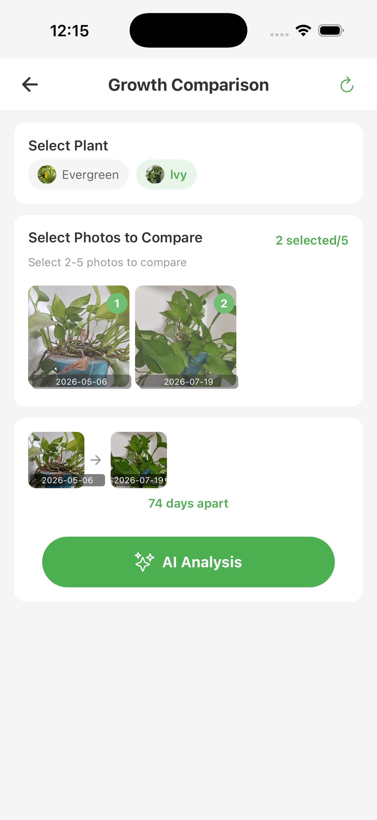 Plant growth comparison tool