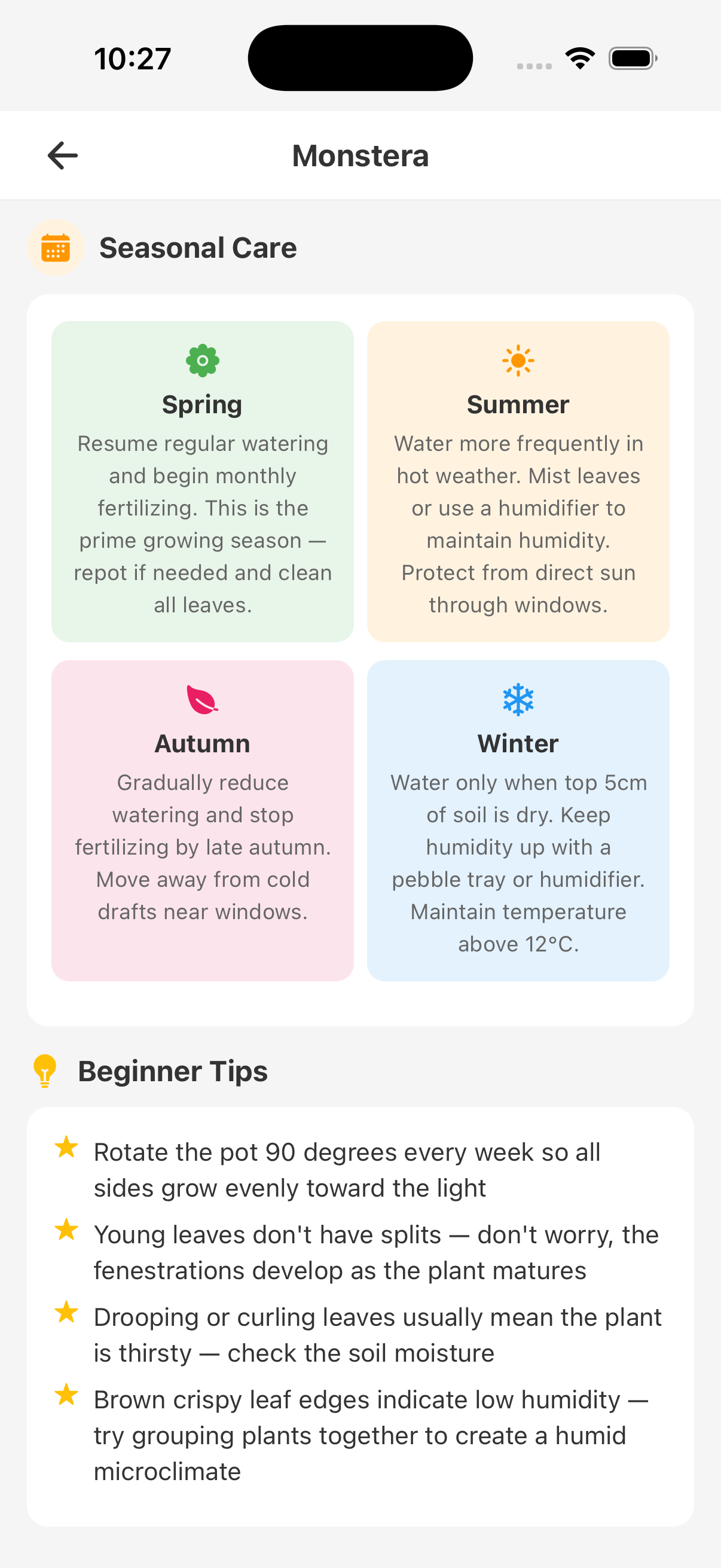 Seasonal plant care and beginner tips