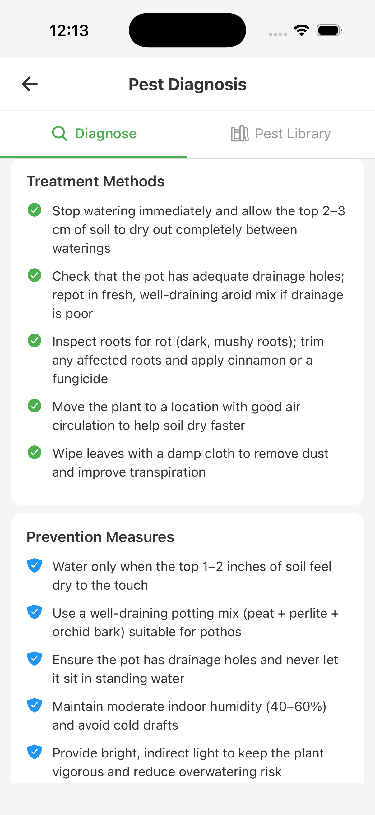 Detailed pest treatment and prevention