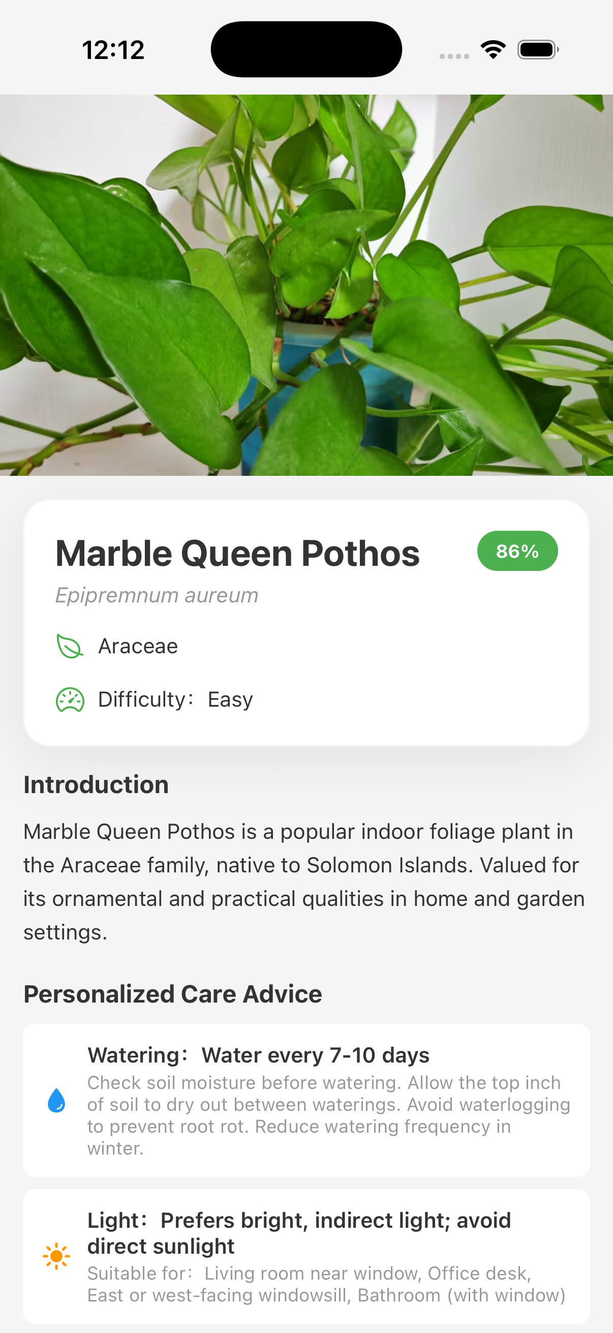 Plant identification candidates and confidence