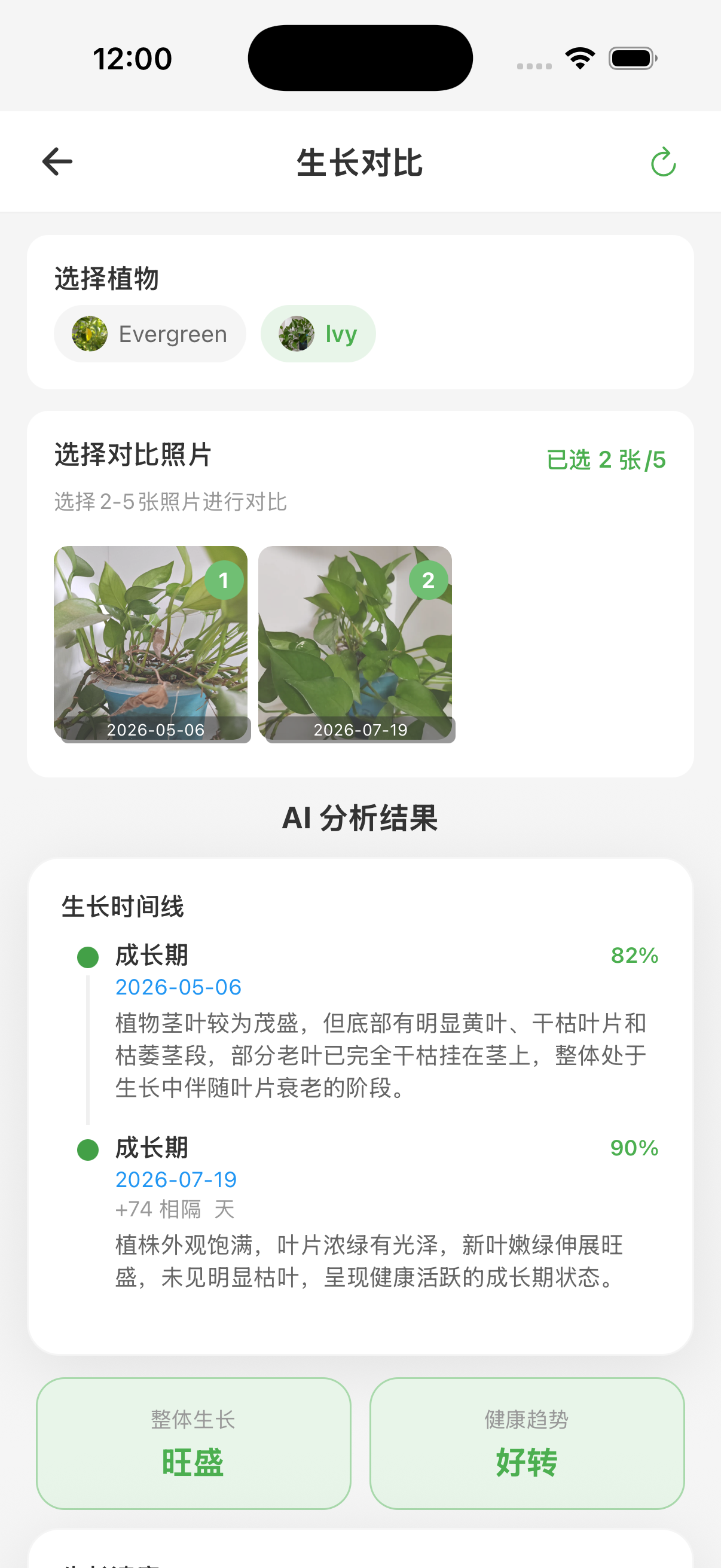 植物成长对比分析