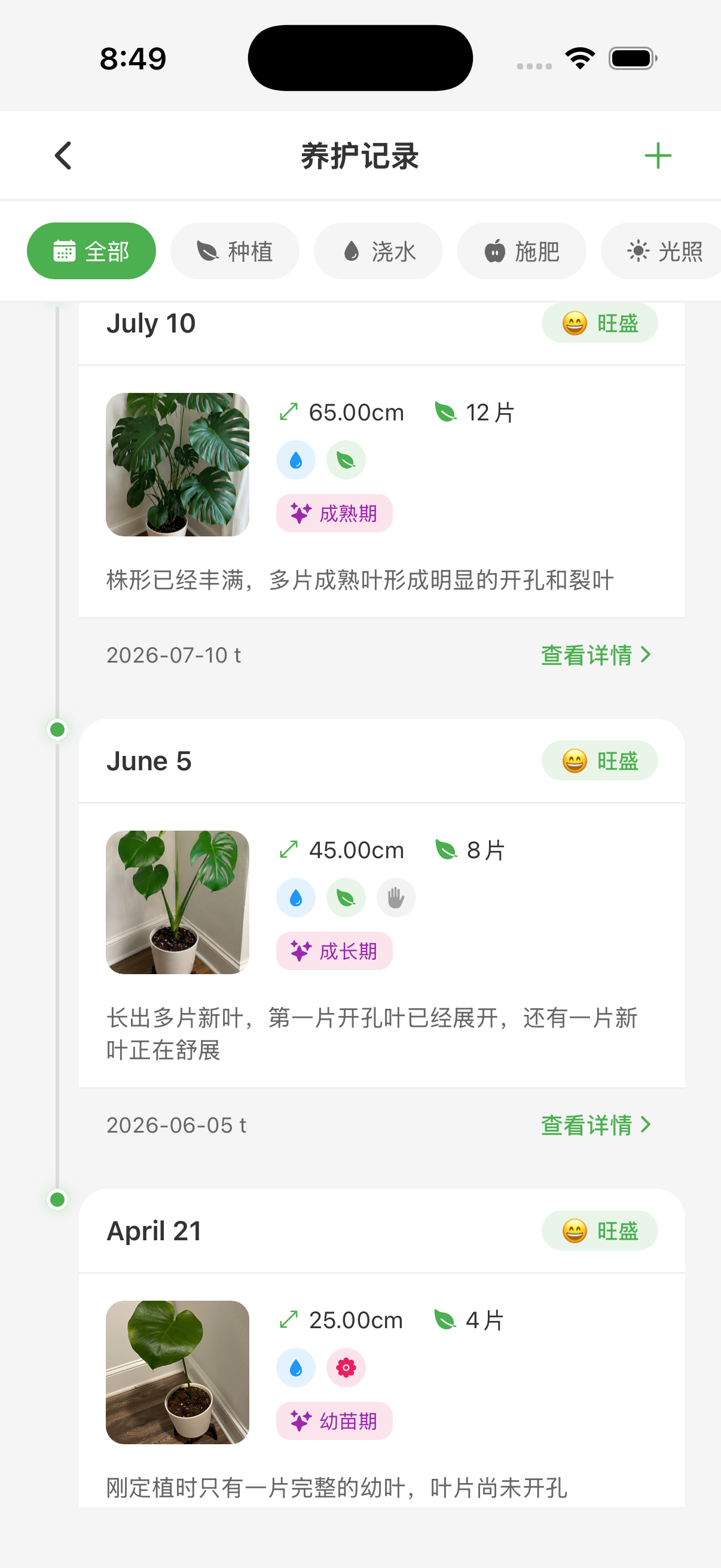 植物成长时间线与养护历史