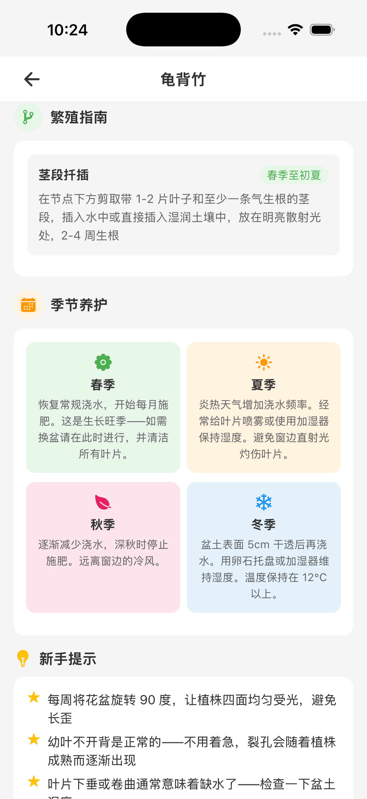 季节养护与新手建议