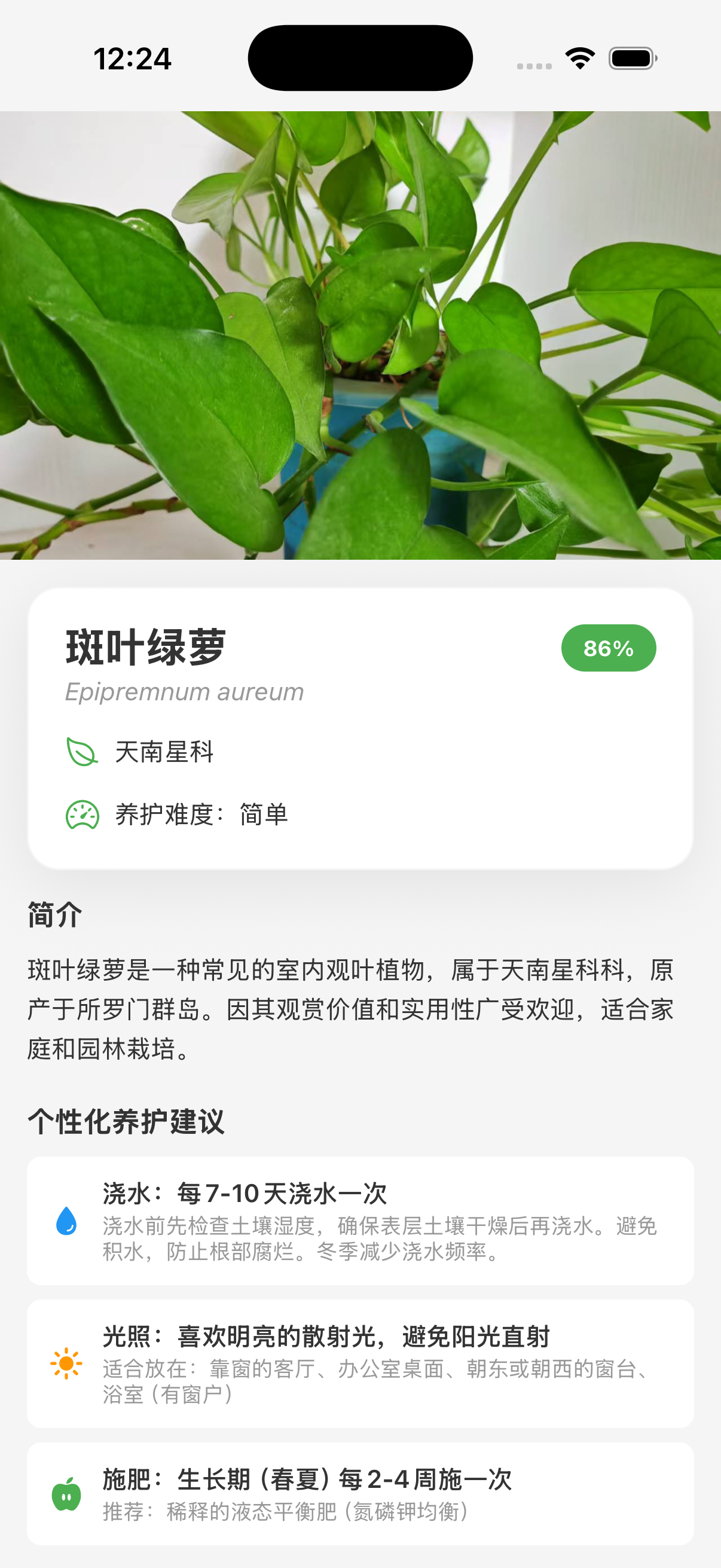 植物识别候选结果与置信度
