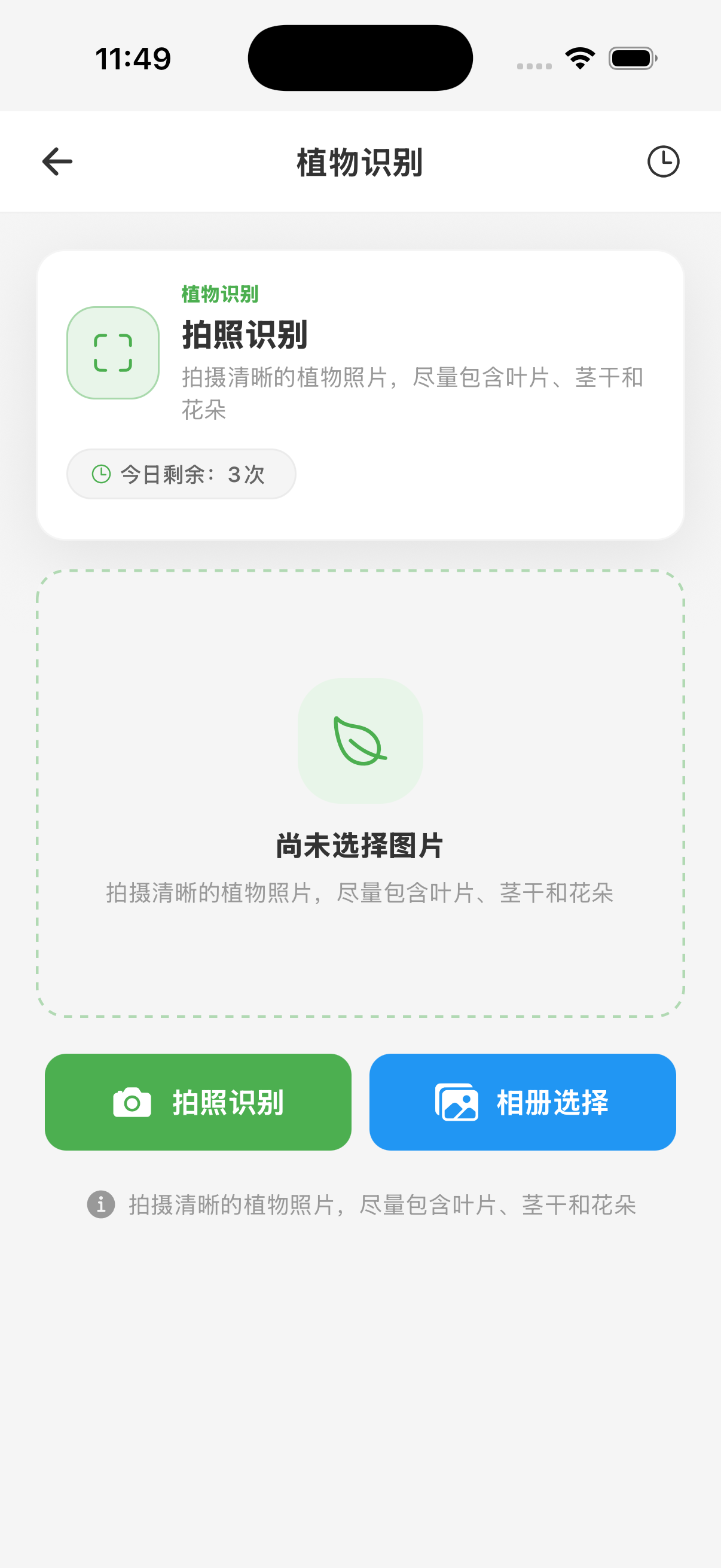 植伴植物识别拍摄界面