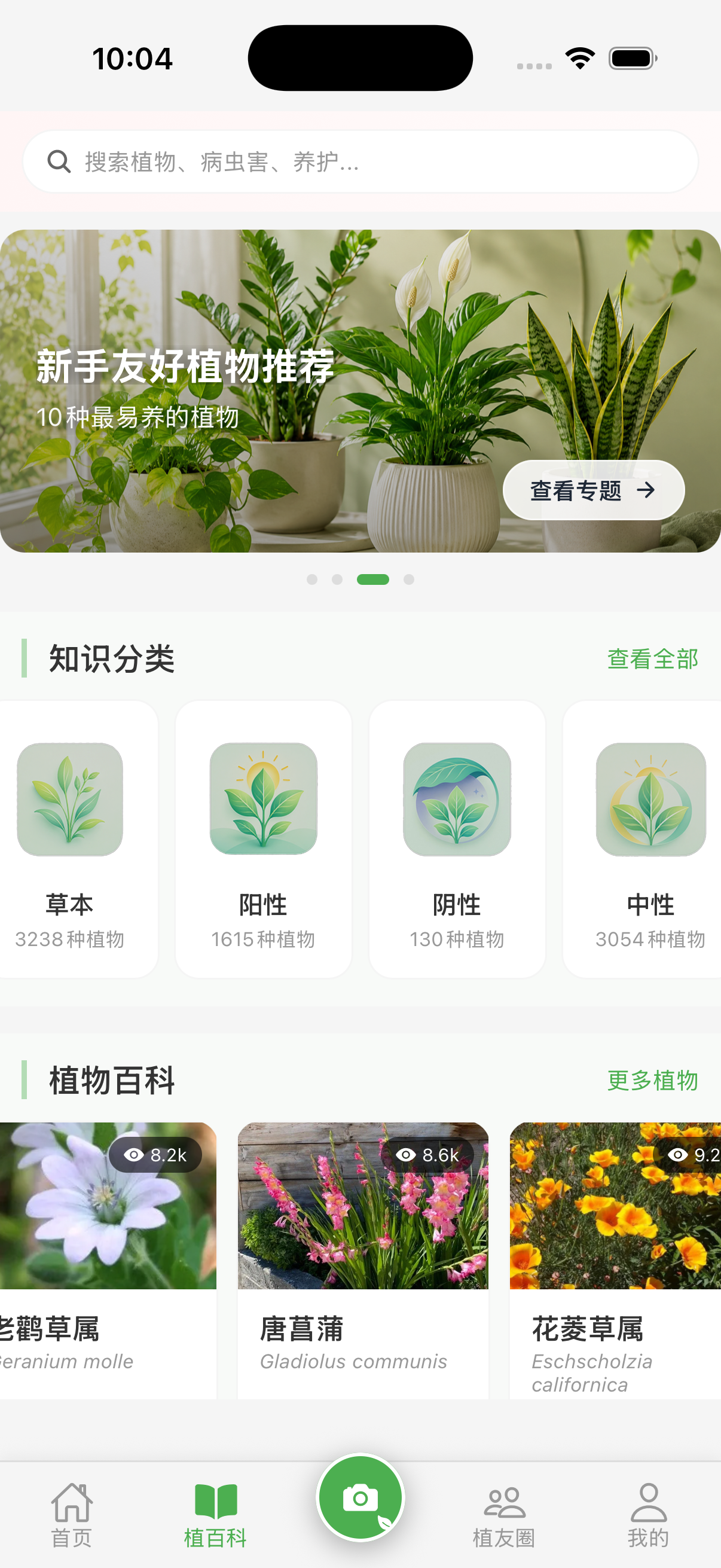 植伴植物百科