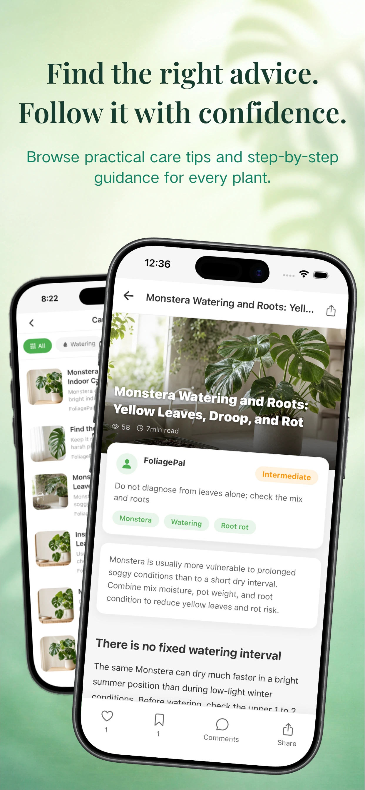 FoliagePal — AI care companion with memory