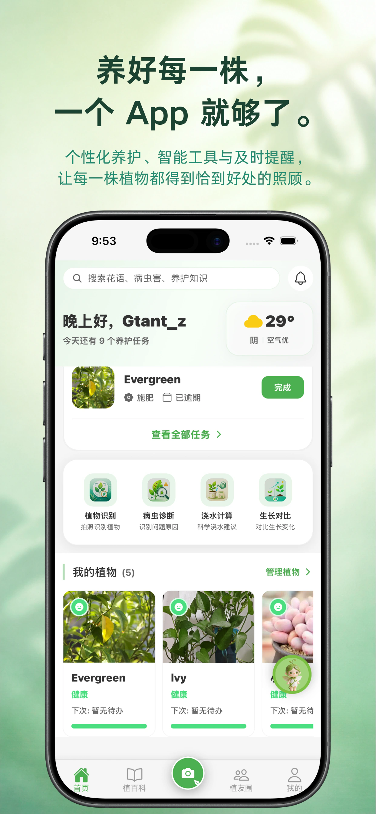 植伴 — 植物识别拍照界面