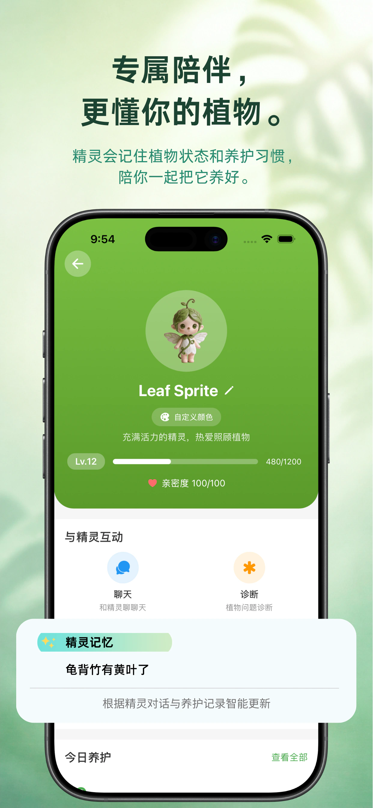 植伴 — 植物识别候选结果