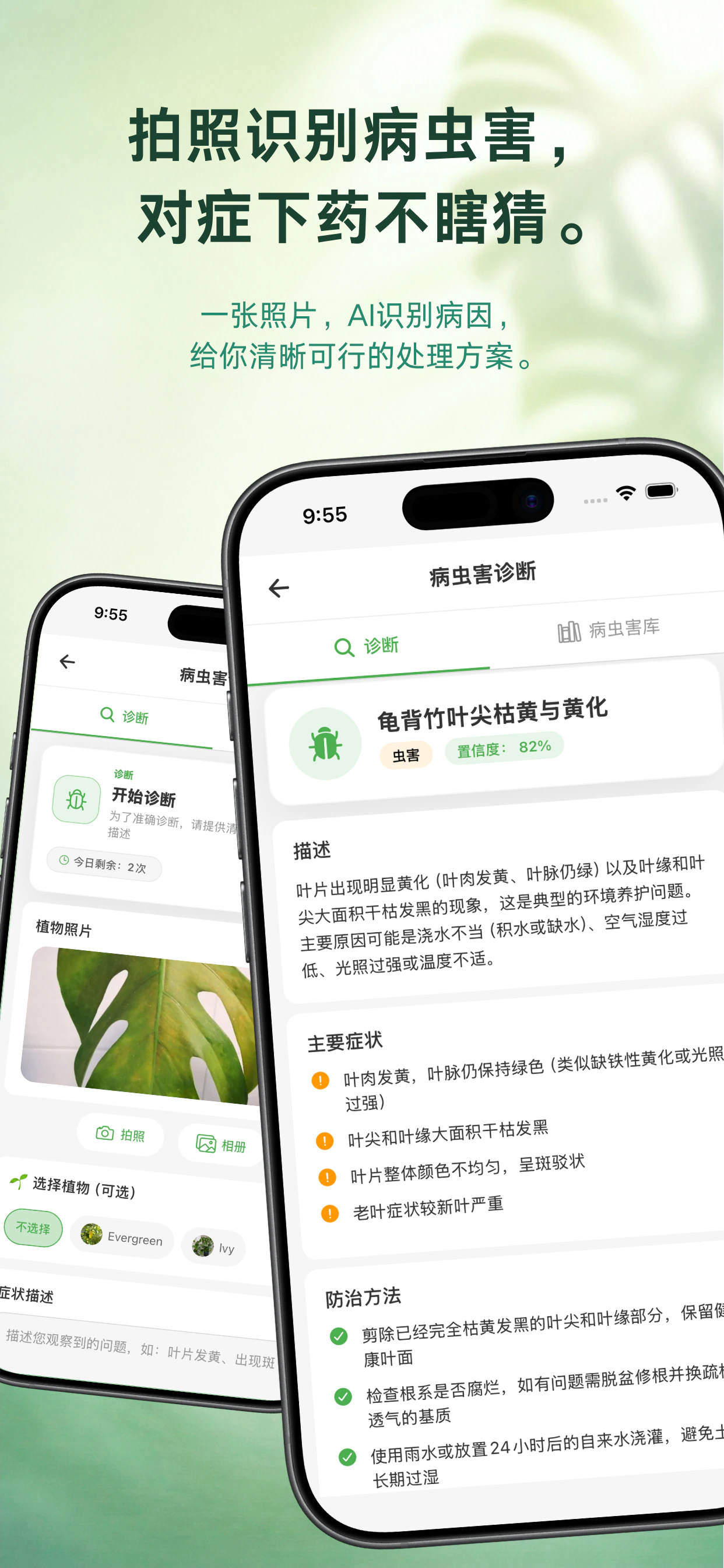 植伴 — 养护任务与提醒