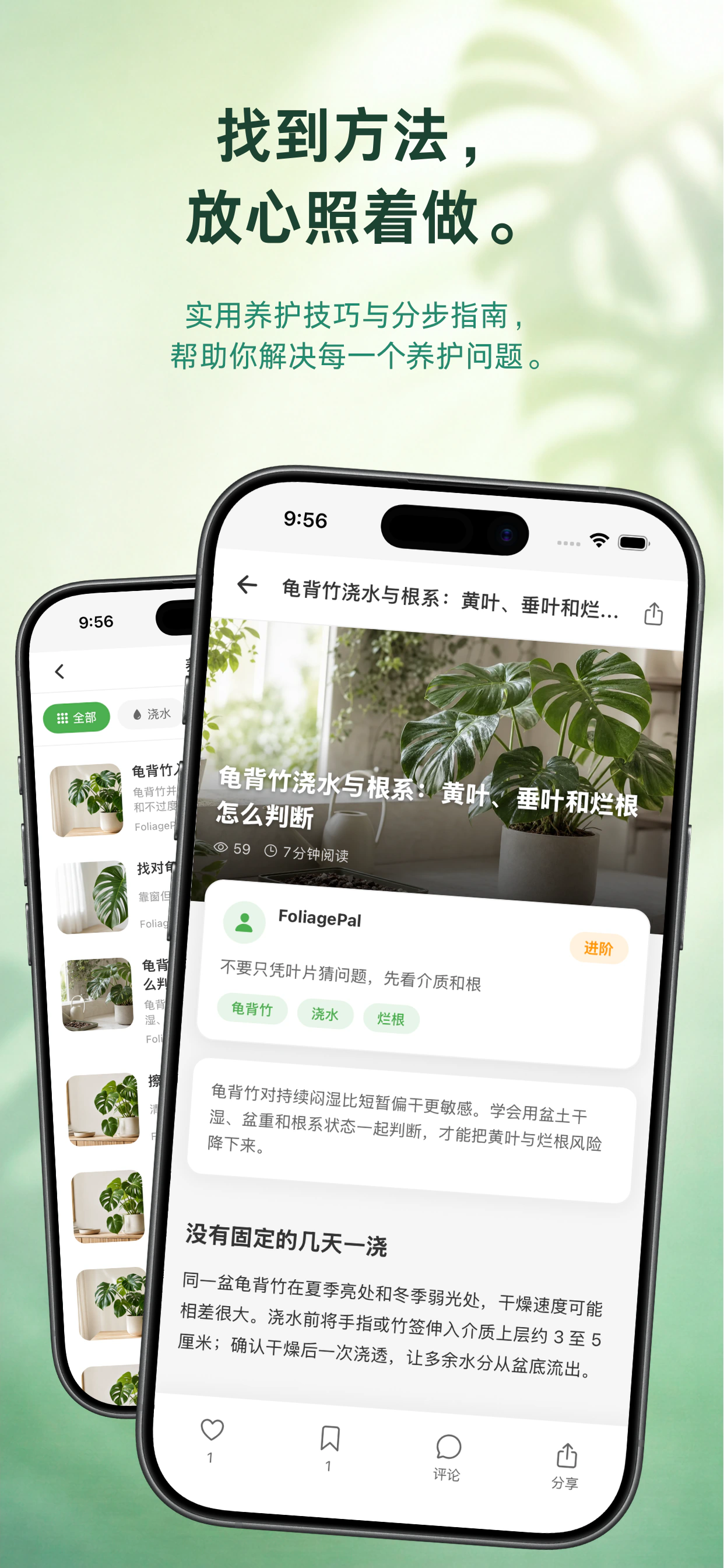 植伴 — 植物健康问题检查