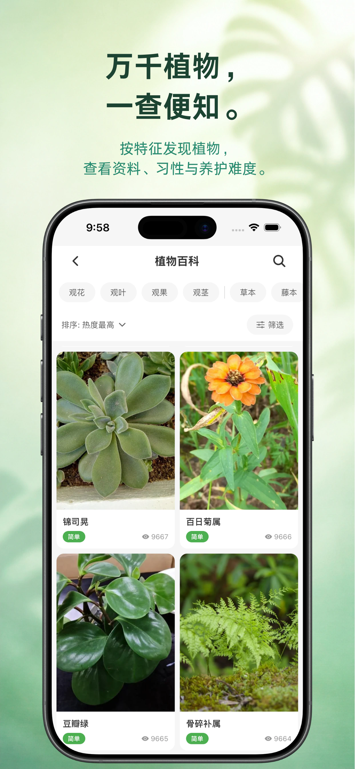 植伴 — 植物成长记录